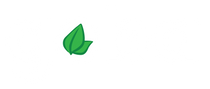 Goba Tea