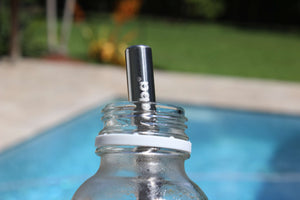 reusable stainless steel straws (2-pack)